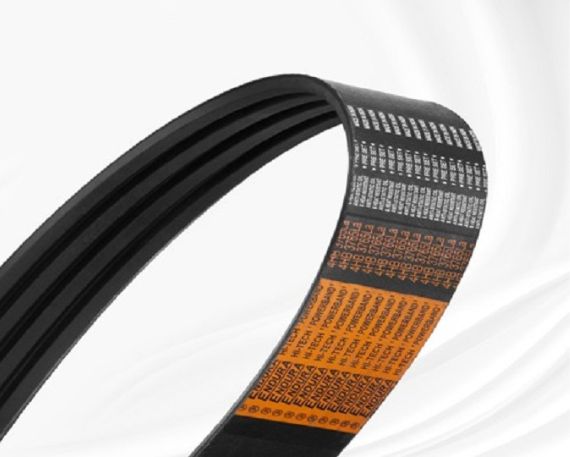 BANDED BELTS